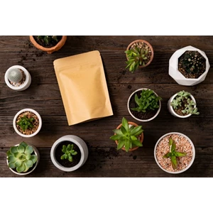 Menjelajahi 7 Manfaat Planter Bag dalam Berkebun
