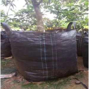 Perawatan Tanaman dalam Planter Bag agar Tetap Sehat dan Subur