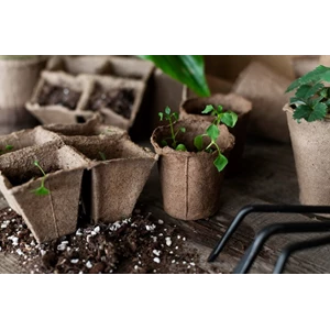 Mengubah Ruang dengan Planter Bag yang Trendy