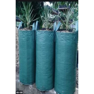 Tanaman Sayuran yang Cocok untuk Ditanam dalam Planter Bag