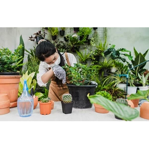 Ide Menghias Taman Menggunakan Planter Bag