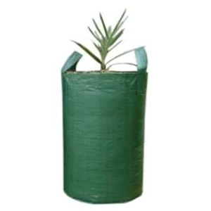 Pilih Tanaman Hias yang Cocok untuk Ditanam dalam Planter Bag